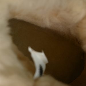 Ugg Mini Bailey Button Ii Maroom