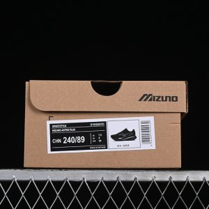 Mizuno