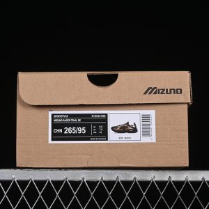 Mizuno