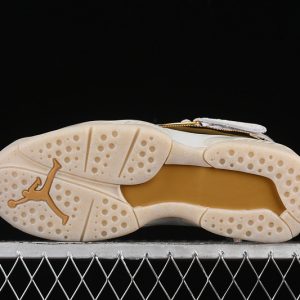 Nike Jordan 8