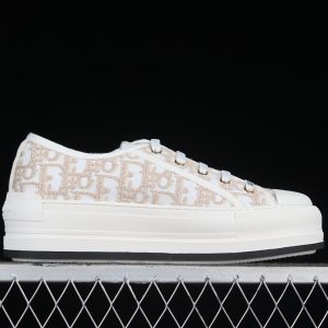 Dior B30