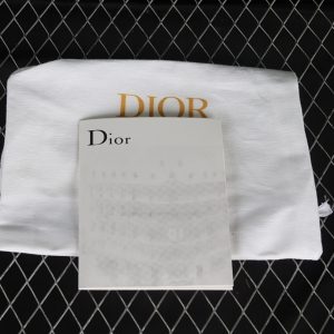 Dior B30