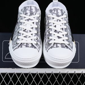 Dior B23
