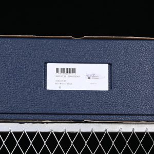 Dior B23