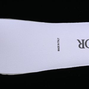 Dior B23