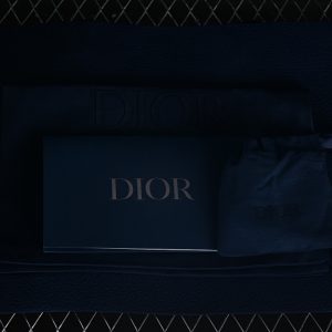 Dior Sneaker