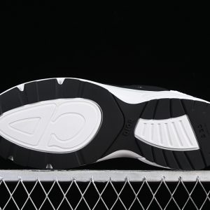 Dior Sneaker