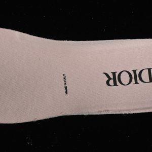 Dior Sneaker