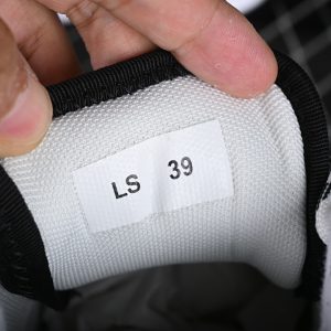 Dior B33