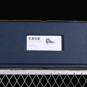 Dior B23