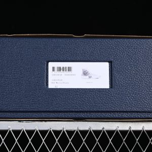 Dior B23