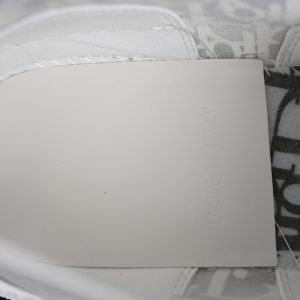 Dior B23