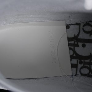 Dior B23