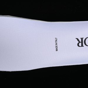 Dior B23