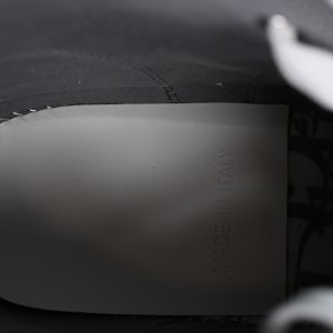 Dior B23