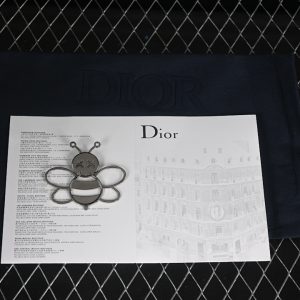 Dior B30