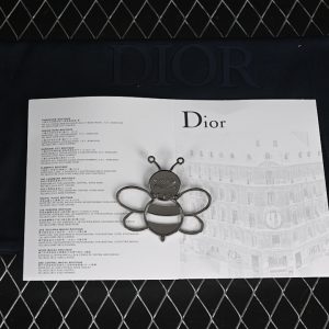 Dior B30