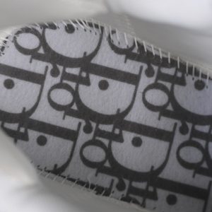 Dior B22