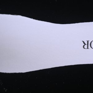 Dior B22