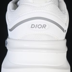 Dior B22