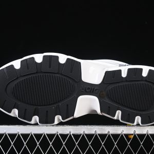 Dior B22