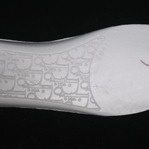 Dior B22
