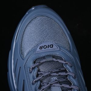 Dior B22