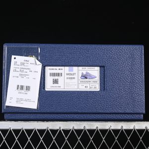 Dior B22