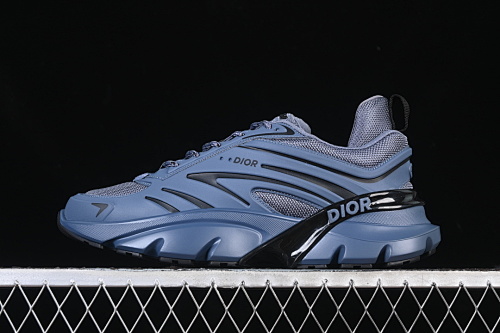 Dior B22