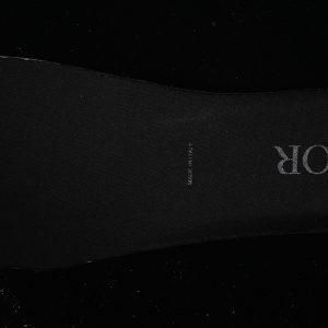 Dior B22