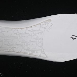 Dior B22