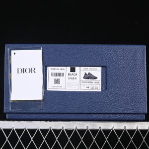 Dior B22