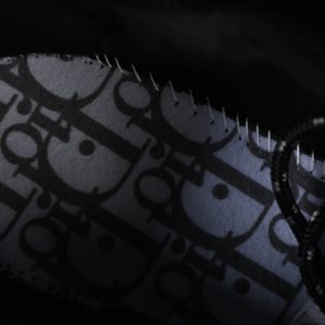 Dior B22