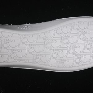 Dior B27
