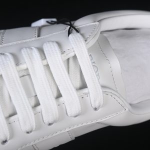 Dior B27