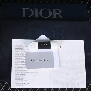 Dior B27