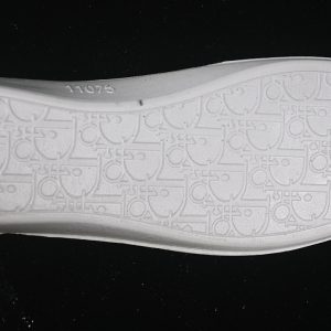 Dior B27