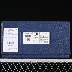 Dior B27