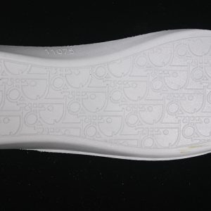 Dior B27