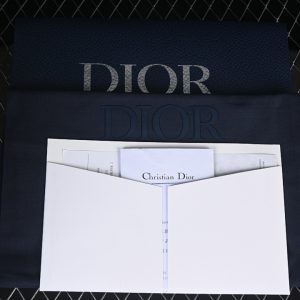 Dior B27