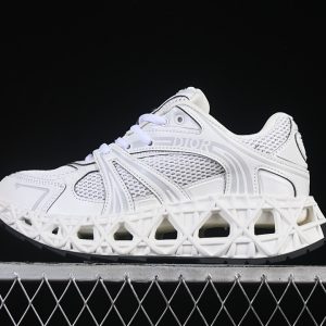 Dior B30