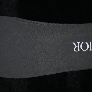 Dior B33