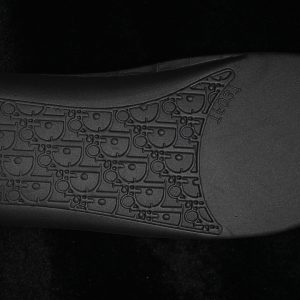 Dior B33
