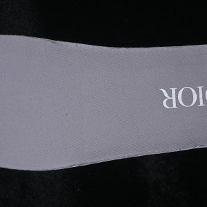 Dior B33