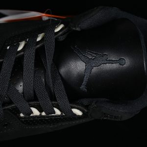 Nike Jordan 3