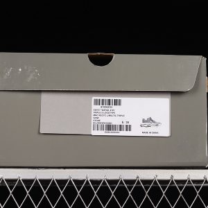Balenciaga Ad x Balenciaga Triple S Sneakers