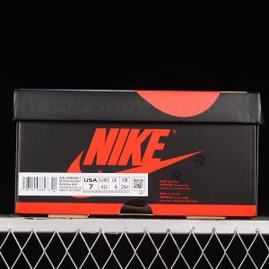 Nike Jordan 1 High