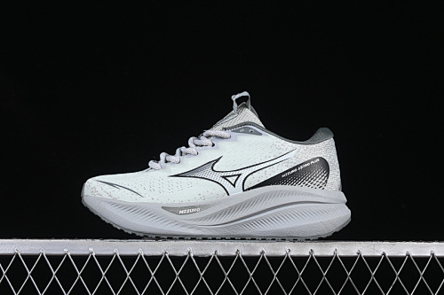 Mizuno