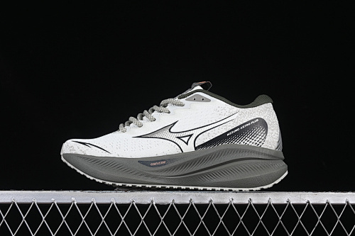 Mizuno