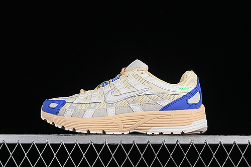 Nike P-6000